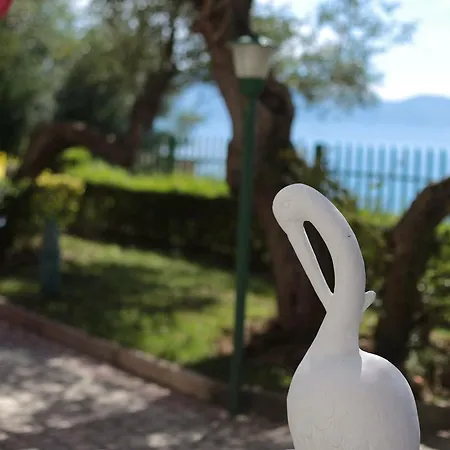 Vila Bregdeti Hotel