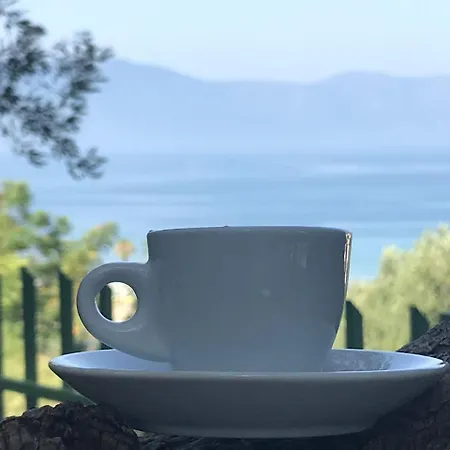 Vila Bregdeti 3*