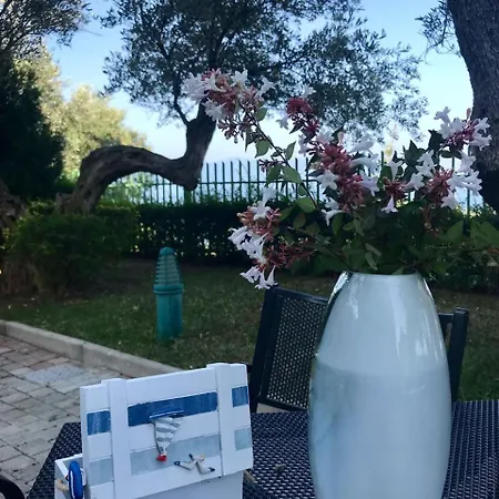 Vila Bregdeti Vlorë