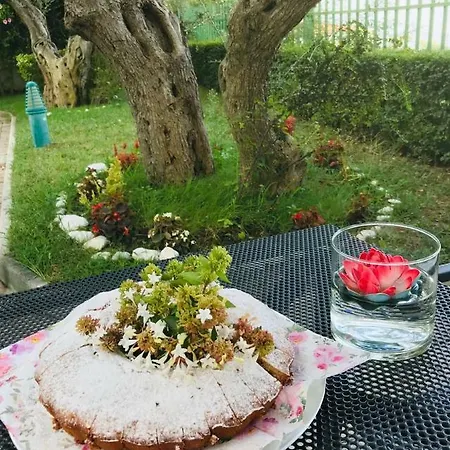 Vila Bregdeti Vlorë